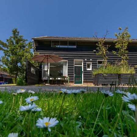 Welcome In - Beneden Appartement Kon Emmaweg 6, Vrouwenpolder Eksteriør billede
